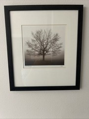 Framed Pair Of Signed Richard Calvo (1960-2019) Photographs 16.5” x 14.5”
