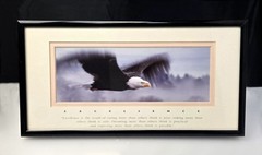 Excellence King Of The Skies Eagle Photo Art Framed Frank Oberle Photography