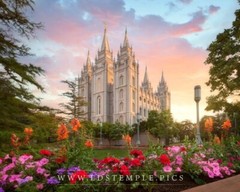 Salt Lake Temple Metal Print – 20″ x 16″ – Ready To Hang or Frame – BRAND NEW