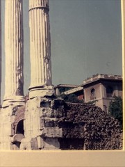 Vintage Roman Forum Castor Pollux Framed Photo Dark Academia Grandmillennial Art