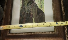 Luciano-Mario Duse Signed Numbered Christ In Tree