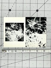 Tenesh Webber Art Announcement Card March 2000 Photography