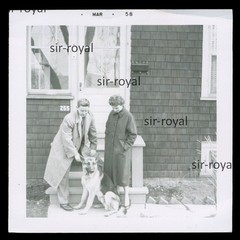 Pair and German Shepherd 1958 in USA – 1950s – Photo 9x9cm