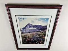 Signed Limited Edition Aaron Goldenberg 35mm Art Photograph, Utah 39×24 Framed