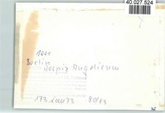 40027524 – 1000 Berlin Mitte Hospice Angelicum