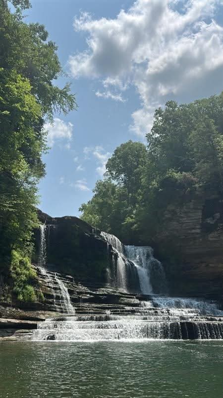 A Beautiful Nature Photograph