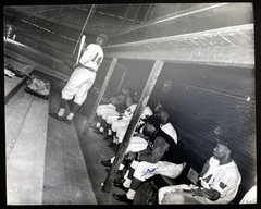 Teenie Harris / 16 x 20 Homestead Grays ca 1943 photo of the dugout James Cool