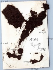 Mols Bjerge 1946 – Denmark 1950s – Photo 6x8cm