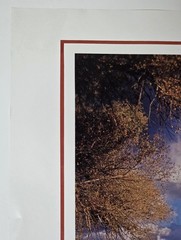 Cathedral Rock Sedona Arizona Lou DeSerio Signed Desert Art Photo Poster 1993