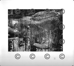BOOK PLATE B&W Photo MORLEY BAER Tarn, Tioga Pass / Mount Tom, Morning 9X9.5″