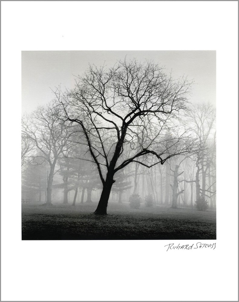 NYC / The Bronx – Van Cortlandt Park – 11×14” – Signed Piezo Print