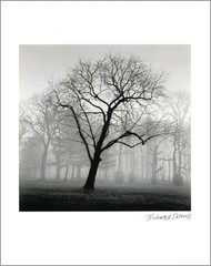 NYC / The Bronx – Van Cortlandt Park – 11×14” – Signed Piezo Print