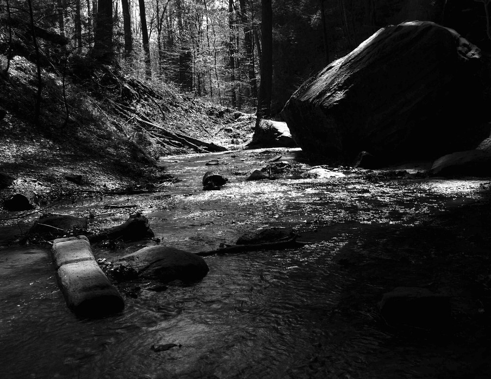 LANDSCAPE 8.5×11 or 13X19 B&W BORDERLESS GLOSSY PRINT (FREE SHIPPING)