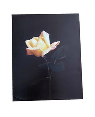 Large Yellow Flower Art Print Original Vintage 1980’s 16″X 21″ #2