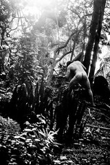 Original Male Nude KELLY WILLIAM WRIGHT Muscle Men JUNGLE WORK #11 – 9×13 Photo