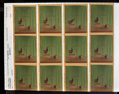 Nitin Vadukul Project 161 Negatives BASELINE Magazine Kodak 160VC Chicken