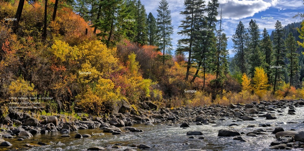 Idaho Fall Color Little Salmon River Adams County #2 Poster Photo Print LS03