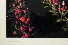 Tom Adams Photography Tulip Field Green Gables Farm Oregon Photo Art 11X14