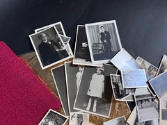 Over 180 Old Photos Bundle Photo Album Family Photos 1930-1960 Vintage