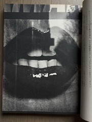 🎈Sup RARE Daido Moriyama Inu no Kioku, Shusho Memories of a Dog Final Chapter