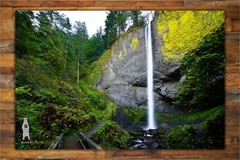 Latourell Falls – Columbia River Gorge – Oregon Waterfalls – PNW Photo Prints
