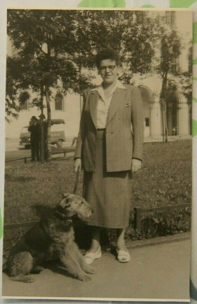Photo 1956 Woman Terrier Transporter Truck Dog Dog M6