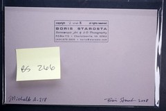 Boris Starosta 3D Stereoview – Michelle A218- nude model signed 2008 #266