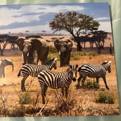 Paul Gruner elephant & zebra safari Metal Art Signed