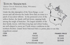 SIGNED Thomas D. Mangelsen, “Teton Shadows», 1995, Panoramic Photograph