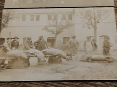 Saint Saturnin le Barry Aveyron Pig Fair Antique Photos Original Print Sepia