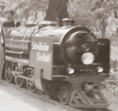 Great old negative small steam locomotive amusement park?? unfortunately blurry