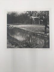 Bois De Boulogne Numbered Print by Jacques-Henri Lartigue