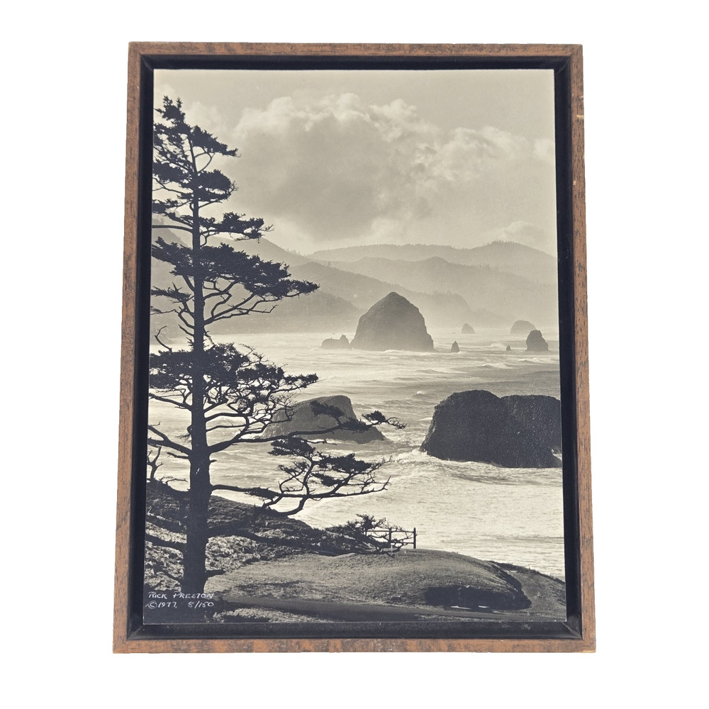 Rick Preston Photo Print Crescent Bay Shadow Box 1977 Vintage 8/150 Santa Ana CA