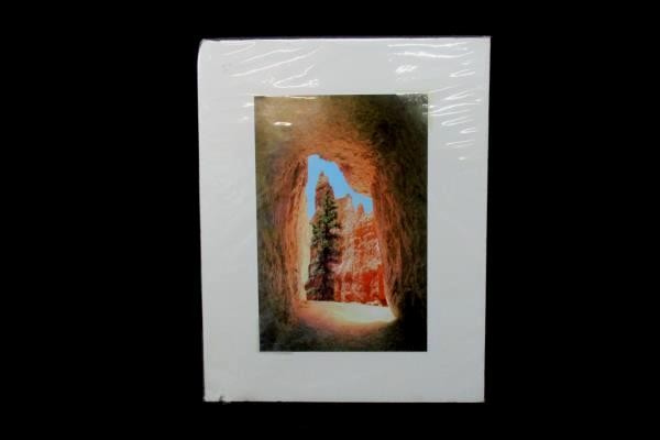Bryce Canyon Matted Print Photograph 10×6.5 by Marilyn Affolter Art Photo