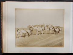 BEAUTIFUL PHOTO ALBUM WITH 54 LARGE FORMAT,ORIGINAL PHOTOS,EGYPT,1870-90,RARE