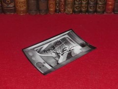 Germaine Roger Vintage Photo Knight Of The Sky / Luis Mariano Decor 1955