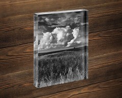 Black and white Iowa landscape photography print Midwest farmland wall art photo