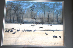 Sandhill Cranes Signed Photograph by John Savage Dbl Matted 16×20 Frame