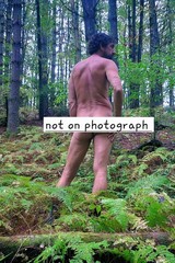 Fine art nude of man gay interest model outdoors 17 photographs 4×6 glossy