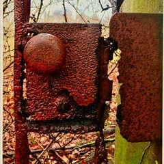 MICHAEL RAY Original Vintage Signed NY Secret Garden Landscape Photograph Print