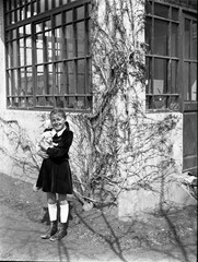 LOT 2x PHOTO NEGATIVE, sweet girl w sweet dog, sheeps, animals, funny, unusual,