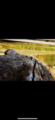 Contemporary Landscape Night Color Photograph Set – Nature, Moon, Train, River