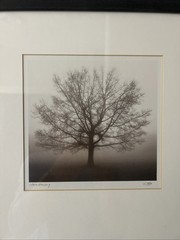Framed Pair Of Signed Richard Calvo (1960-2019) Photographs 16.5” x 14.5”