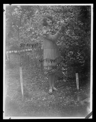 Mrs. Goldi c1930 next to Malus floribunda tree – 1920s 1930s – photo 9x12cm