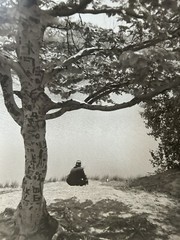 Arthur Gray Standard Oil Photographer Cleveland Ohio Americana Lonely Man Lake!!