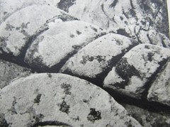 Signed Ildiko Butler photograph lichen covered sculpture/architecture study