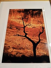 Signed Bob King 2008 Monument Valley, Utah Photograph Framed 13×16