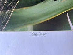 Dennis Goodman Photography Art Dragonfly Signed Blue Dasher