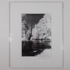 White Mat Photo Landscape Park Infrared Photography Limited Ed 1/2 Signed Print