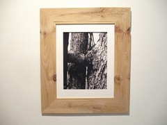 north woods strange 17 x 20 black and white photography